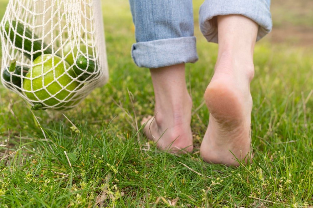 Sorprendentes beneficios de caminar sobre el césped mojado por la mañana benefits-of-walking-on-wet-grass-in-the-morning